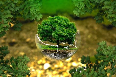 Environmental Protection Nature · Free photo on Pixabay
