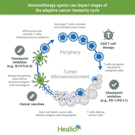 Targeted Immunotherapies Monoclonal Antibodies Checkpoint Inhibitors
