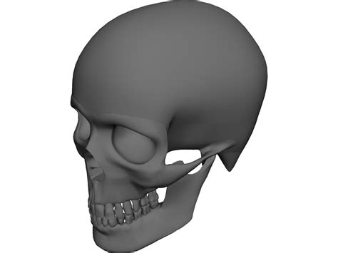 Skull 3d Cad Model 3d Cad Browser