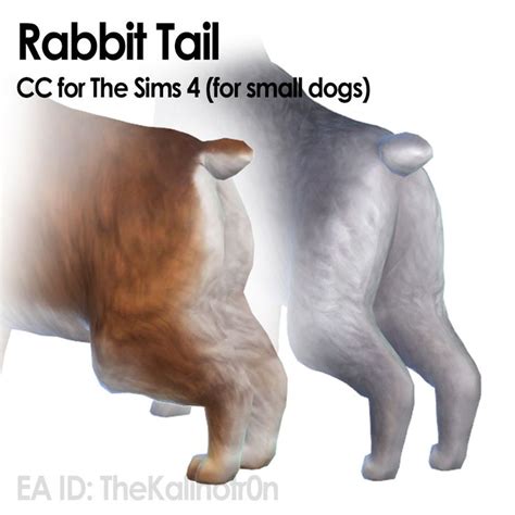 Kalino New Rabbit Cc For Your Small Dogs Rabbit Tail