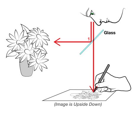 How It Works — Neolucida