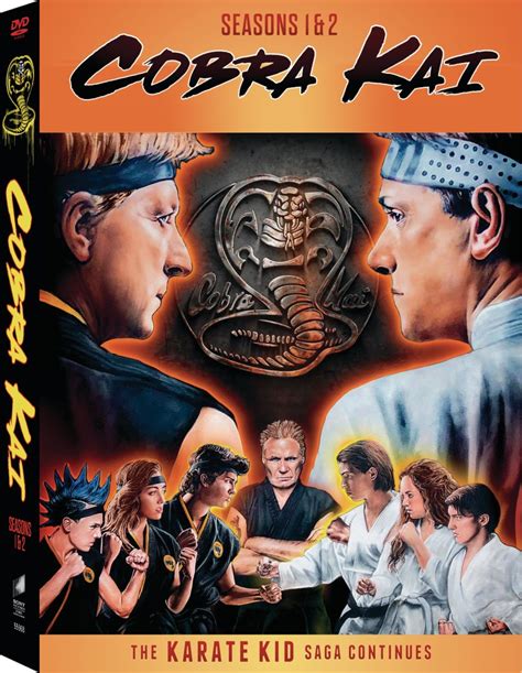 Cobra Kai Seasons 1 And 2 Competition World Of Martial Arts Woma