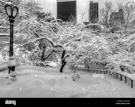 Central Park New York City After Snow Storm Stock Photo Alamy