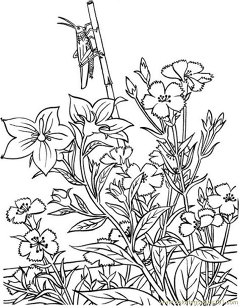 5 Best Images of Adult Garden Coloring Pages Printable - Detailed