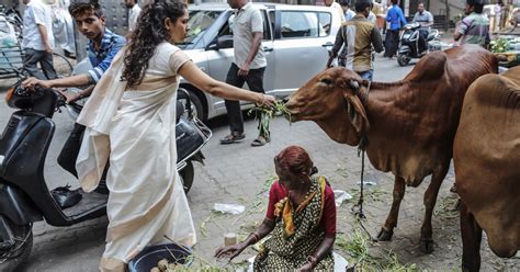 He was called so because of columbus' mistake. India's push to save cows starves Bangladesh of beef