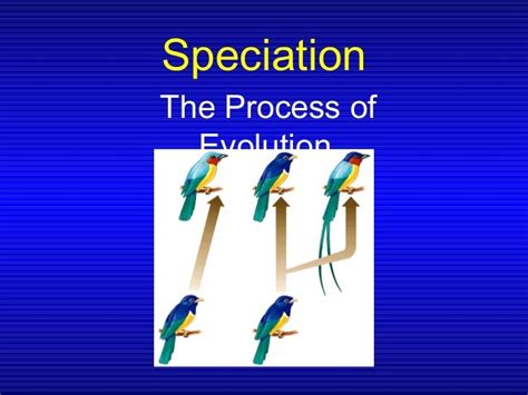 Evolution And Speciation In Life Sciences