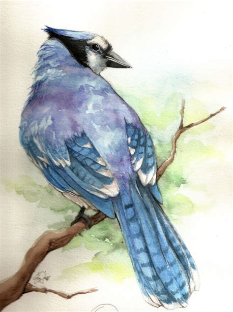 Watercolor Birds Tutorial At Explore Collection Of