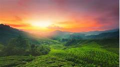 Escape Into Serenity Cl Classics Nail Retreat