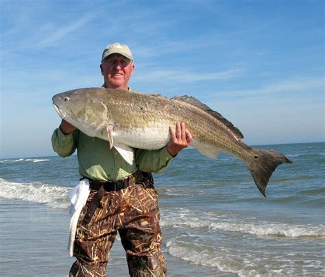 Surf Fishing Fishing Reports And News Ocean City Md Tournaments
