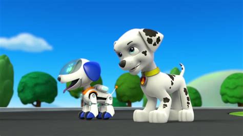 De hondjes worden begeleid door de 10 jarige ryder en met z n allen doen ze paw patrol kleurplaten 42 ben jij een paw patrol fan en wil je een kleurplaat van de dappere puppies printen. Pups Save Ryder's Robot/References | PAW Patrol Wiki ...