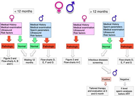 Frontiers Practical Clinical And Diagnostic Pathway For The