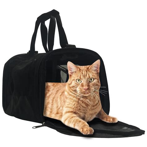 World Pet Carrier Cheaper Than Retail Price Buy Clothing Accessories