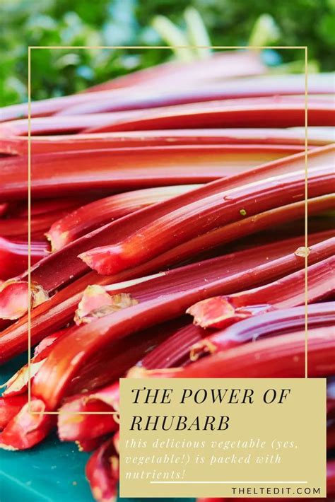The Power Of Rhubarb Rhubarb Rhubarb Benefits Delicious Vegetables