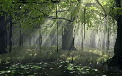 Forest Resolution Nature Desktop Cool Landscape Wallpapers