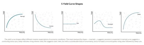 What Is A Yield Curve And Why Should You Care Netsuite
