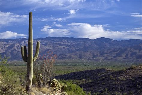 Unvan.az turlar ev alqi satqisi. eXp Realty Tucson Arizona | Tucson Homes For Sale