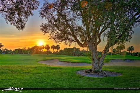 Trees At Golf Course North Palm Beach Florida