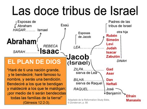 Logoi Ministries Las Doce Tribus De Israel