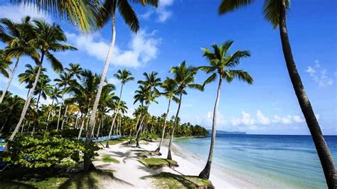 Top10 Recommended Hotels in Las Galeras, Dominican ...