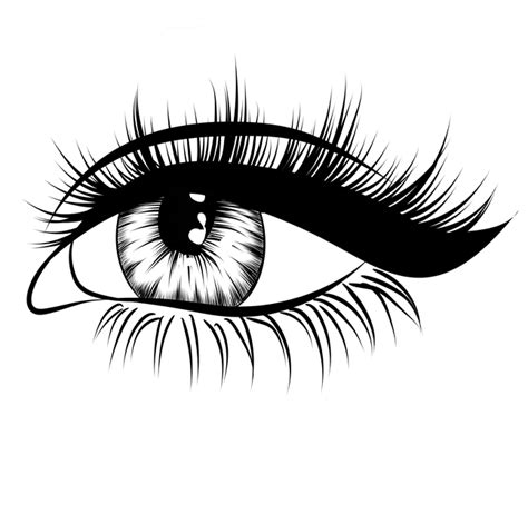 Lashes Png Transparent Images Eyelashes Clipart Download Free