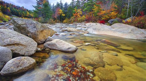 Images Autumn Nature Forest Stone Water River