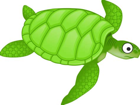 28 Free Cartoon Turtle