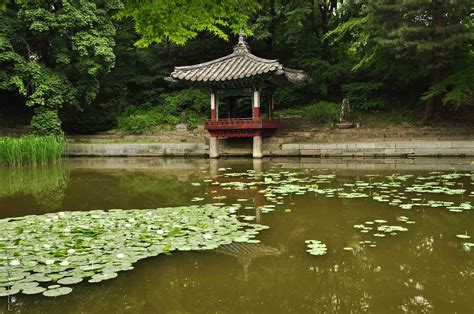 An Afternoon In Changdeokgungs Secret Garden Seoul South Korea