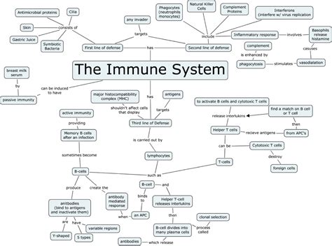 Mind Map Example 2 Immune System Nursing Immunity Nursing Nurse