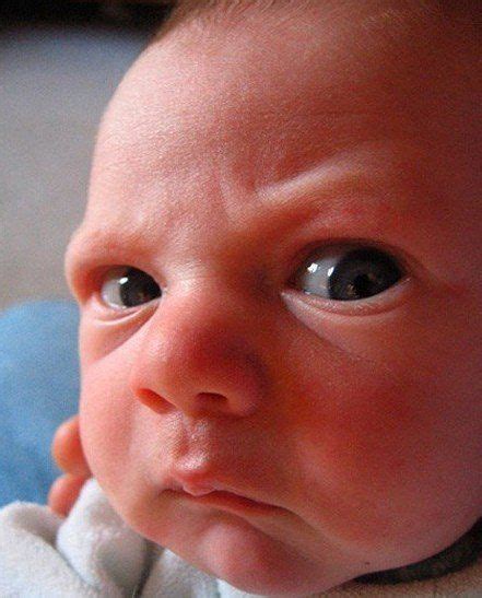 Angry Baby Faces Photo Dengan Gambar Foto Bayi Bayi Lucu Foto Lucu