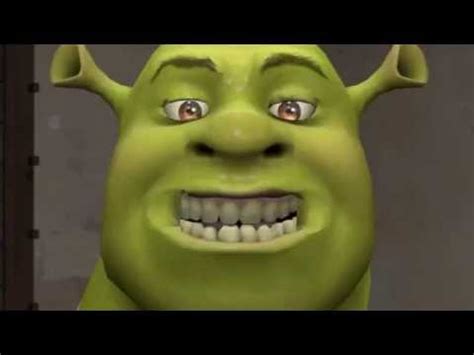 Shrek hd wallpapers, desktop and phone wallpapers. Funny Shrek - YouTube