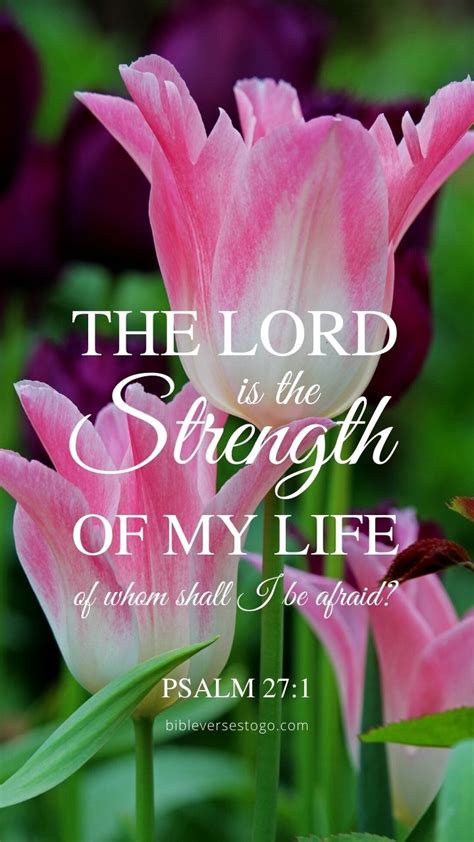 Strength Of Life Psalm 271 Encouraging Bible Verses