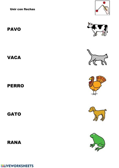 Ejercicio De Unir Con Flechas Nombres Y Dibujos Nombres De Animales