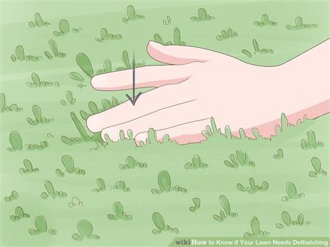 When the best time to aerate and what is a recommended method? How to Know if Your Lawn Needs Dethatching: 9 Steps