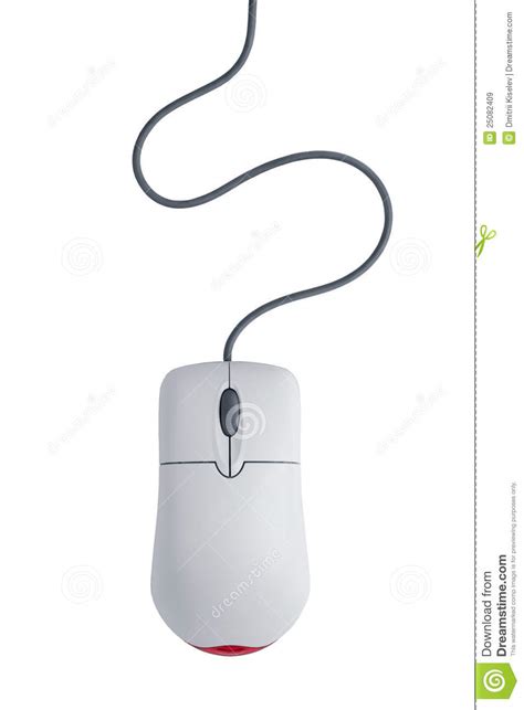 Computer Mouse With Cord Stock Illustration Illustration Of Computerized 25082409
