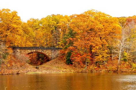 Bridge In Autumn Forest Free Stock Photo Public Domain Pictures