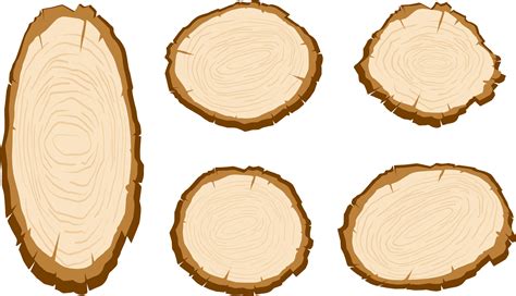 Wood Slice Png - Free Logo Image png image