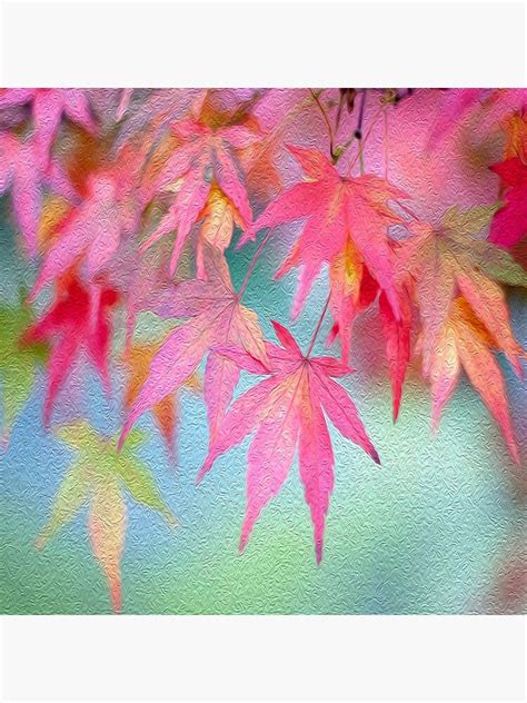Japanese Maple Poster By Fibropourer Redbubble