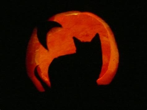 Cats Eyes 13 Cat Pumpkin Carving Ideas For Halloween