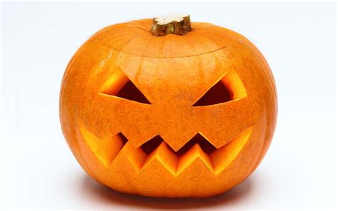 As such, they cannot grow well in clay soils. The best pumpkins of instagram | The Telegraph