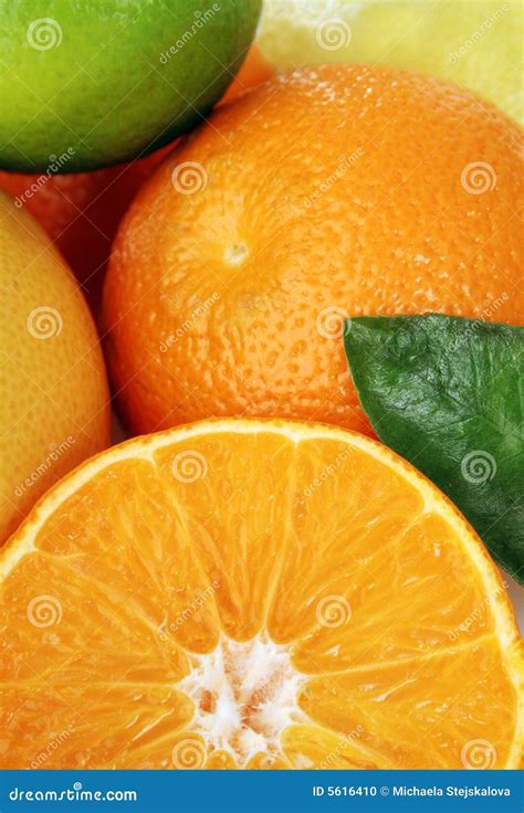 Citrus Fruits Stock Photo Image Of Fruit Liquid Fruits 5616410