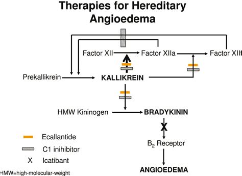 Hereditary angioedema (hae) is a disorder that results in recurrent attacks of severe swelling. Hereditary Angioedema Therapy: Kallikrein Inhibition and Bradykinin Receptor Antagonism | World ...