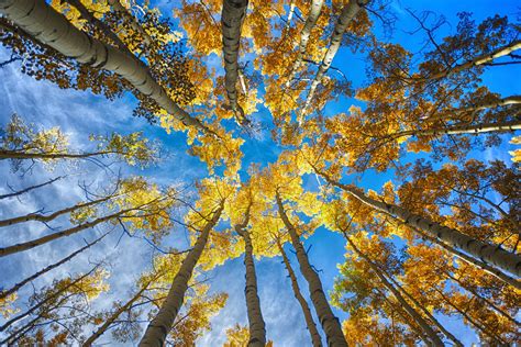 Autumn Colors — Colorado Josh Photography