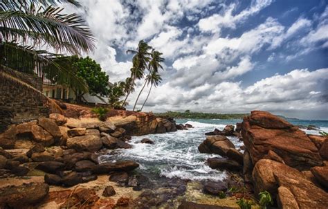 Wallpaper Beach Stones Palm Trees Sri Lanka Images For