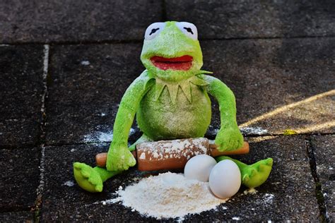Free Images Cute Green Frog Reptile Preparation Egg Rolling Pin