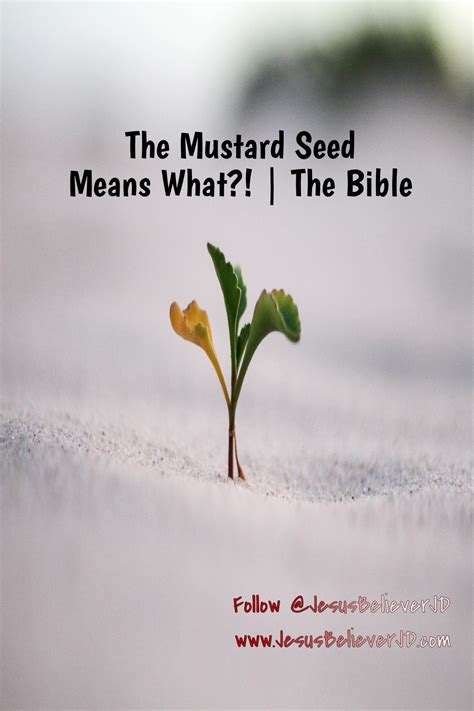 Faith Of A Mustard Seed Bible Verse Meaning Explained Zohal