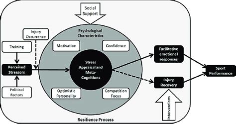 Hypothetical Model Of Psychological Resilience Injury And Sport