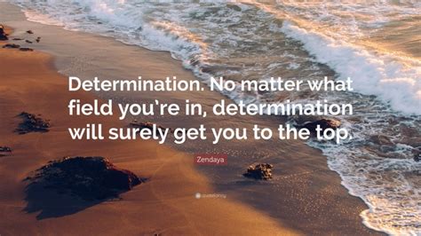 Zendaya Quote “determination No Matter What Field Youre In