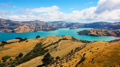 Nuova Zelanda Cosa Vedere E Come Organizzare Il Viaggio Wisesociety