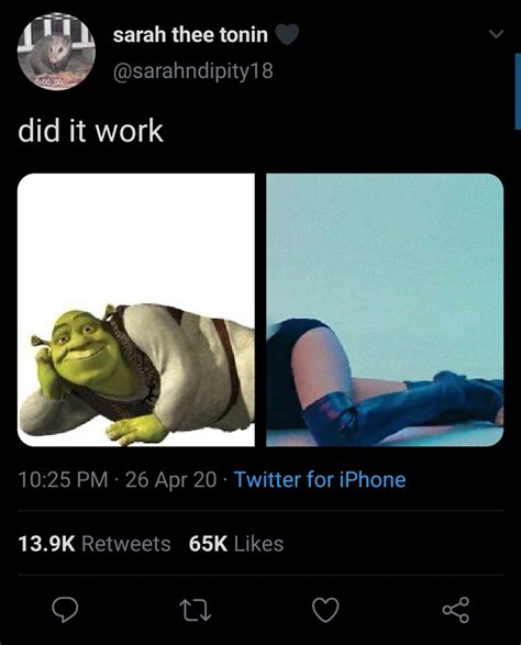Damn Shrek Is Looking Good Today Meme By Bbr Memedroid