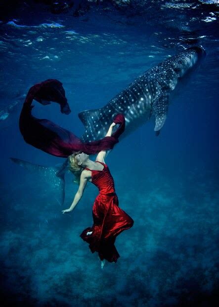 Models Swim With Whale Sharks In An Underwater Fashion Shoot